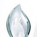 People's Choice Award