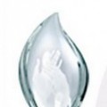 People's Choice Award