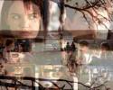 Dawson's Creek Pacey/Joey 