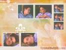 Dawson's Creek Pacey/Joey 