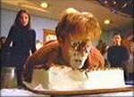 Dawson gâche son anniversaire